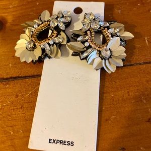 Express Earrings